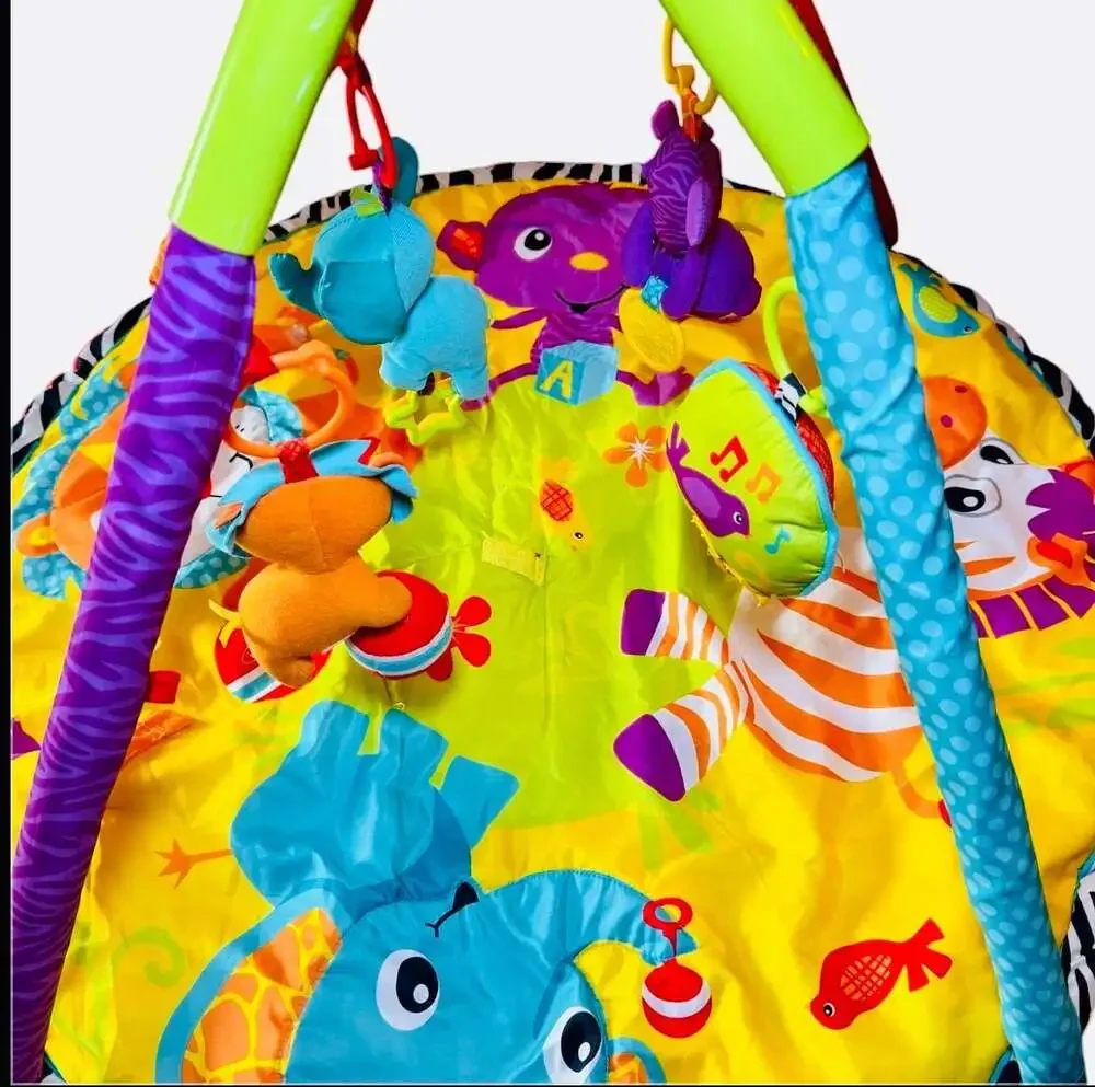 Infantino bright colorful